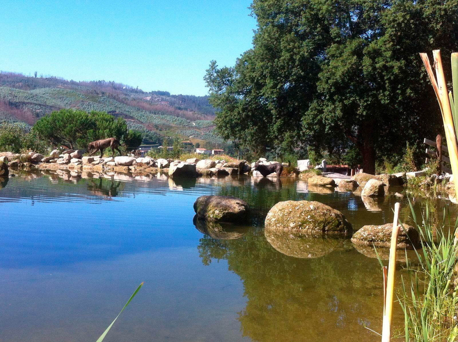 Impermeabilización de piscinas en Vigo