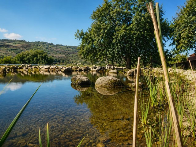 Piscinas ecológicas y estanques impermeabilizados con EPDM en Pontevedra
